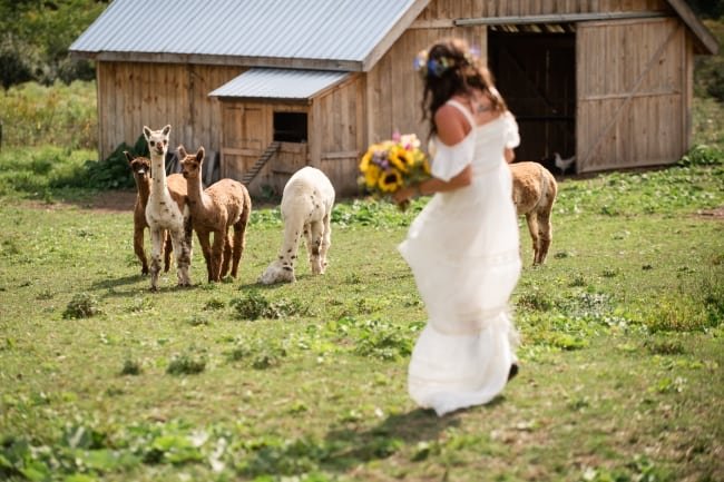 Adirondack Barn Wedding with a Boho Vibe feature